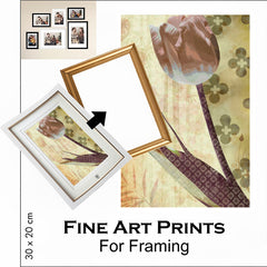 FINE ART