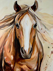 DESERT SPIRIT