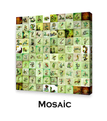 Mosaic Photos