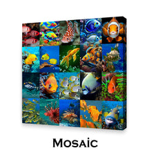 Mosaic Photos