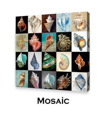 Mosaic Photos
