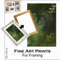 FINE ART