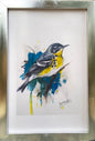 BIRDS