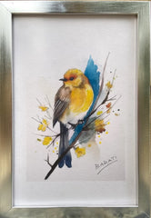 BIRDS