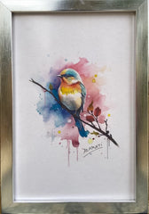BIRDS