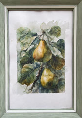 FRUITS