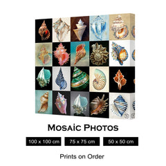 MOSAIC PHOTOS