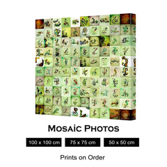 MOSAIC PHOTOS