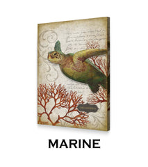 MARINE