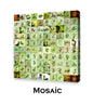 Mosaic Photos