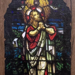 LES VITREAUX DE CHARTRES  004