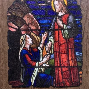 LES VITREAUX DE CHARTRES  008
