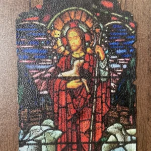 LES VITREAUX DE CHARTRES  014