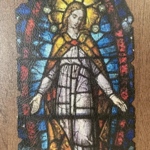 LES VITREAUX DE CHARTRES  016