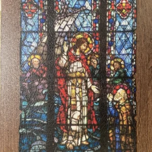 LES VITREAUX DE CHARTRES  017