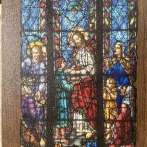 LES VITREAUX DE CHARTRES  018