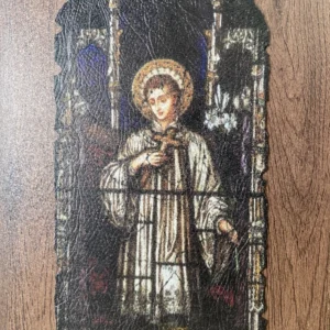 LES VITREAUX DE CHARTRES  019