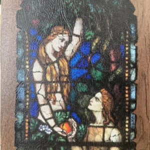 LES VITREAUX DE CHARTRES  020