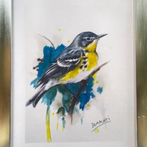 BIRDS
