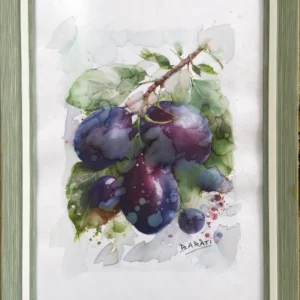 FRUITS