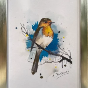 BIRDS