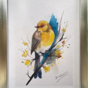 BIRDS