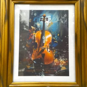 VIOLINS