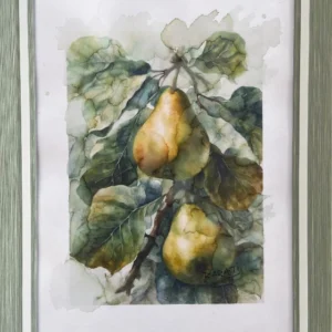 FRUITS