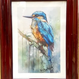 BIRDS