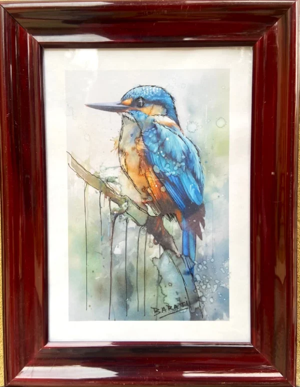 BIRDS
