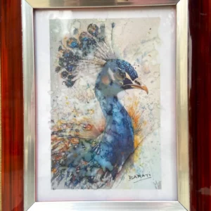 PEACOCKS