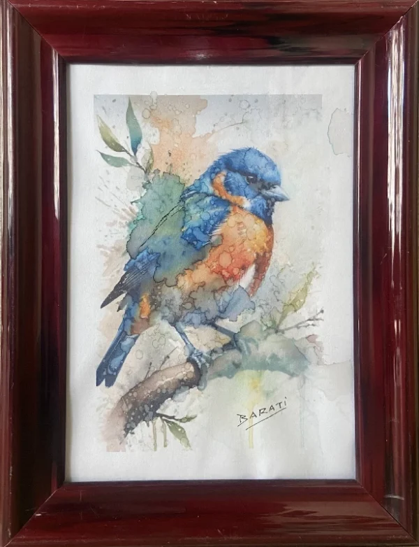 BIRDS