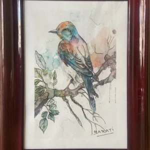 BIRDS