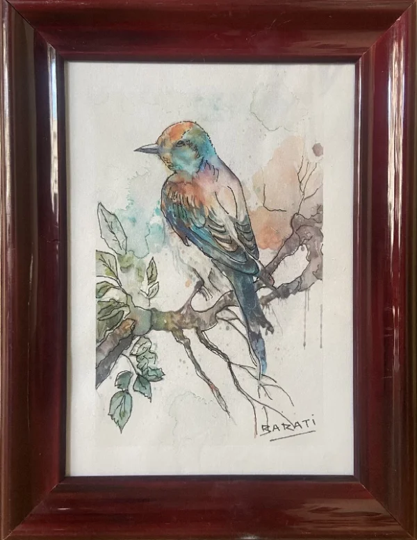 BIRDS