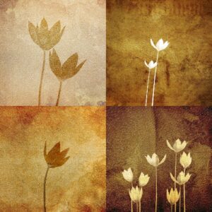 FLORAL COLLAGE