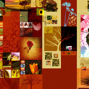 FLORAL COLLAGE
