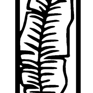 ENGRAVED WOOD